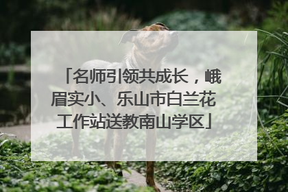 名师引领共成长，峨眉实小、乐山市白兰花工作站送教南山学区