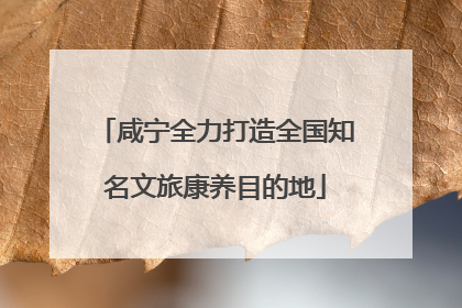 咸宁全力打造全国知名文旅康养目的地