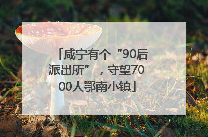 咸宁有个“90后派出所”，守望7000人鄂南小镇
