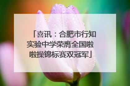 喜讯：合肥市行知实验中学荣膺全国啦啦操锦标赛双冠军