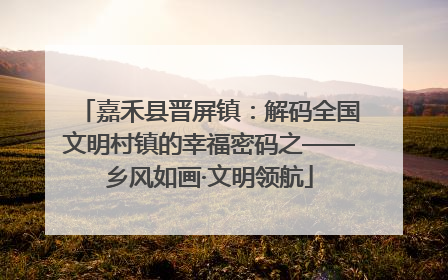 嘉禾县晋屏镇：解码全国文明村镇的幸福密码之——乡风如画·文明领航