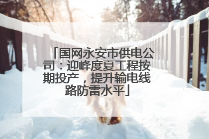 国网永安市供电公司：迎峰度夏工程按期投产，提升输电线路防雷水平