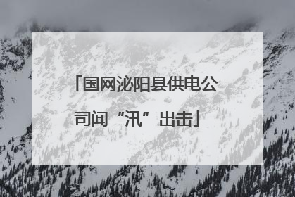 国网泌阳县供电公司闻“汛”出击