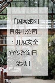 国网泌阳县供电公司：开展安全宣传咨询日活动