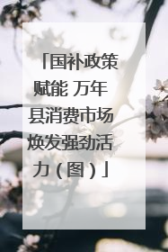 国补政策赋能 万年县消费市场焕发强劲活力（图）
