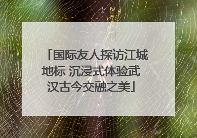 国际友人探访江城地标 沉浸式体验武汉古今交融之美