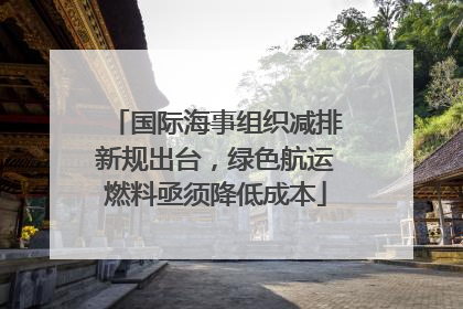 国际海事组织减排新规出台，绿色航运燃料亟须降低成本