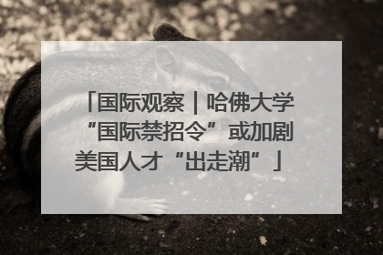 国际观察｜哈佛大学“国际禁招令”或加剧美国人才“出走潮”