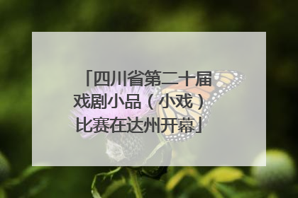 四川省第二十届戏剧小品（小戏）比赛在达州开幕