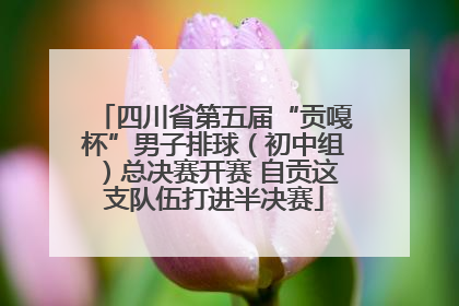 四川省第五届“贡嘎杯”男子排球（初中组）总决赛开赛 自贡这支队伍打进半决赛