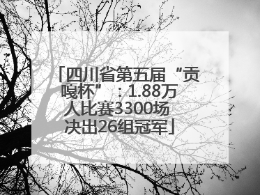 四川省第五届“贡嘎杯”：1.88万人比赛3300场 决出26组冠军