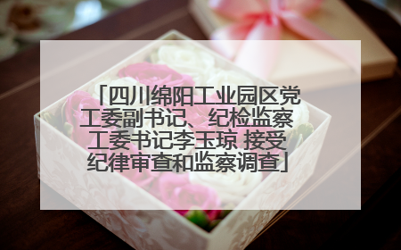 四川绵阳工业园区党工委副书记、纪检监察工委书记李玉琼 接受纪律审查和监察调查