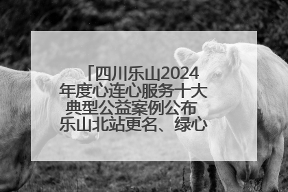 四川乐山2024年度心连心服务十大典型公益案例公布 乐山北站更名、绿心路井盖治理等上榜