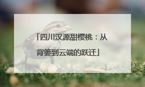 四川汉源甜樱桃：从背篓到云端的跃迁