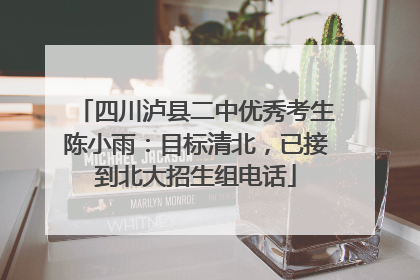 四川泸县二中优秀考生陈小雨：目标清北，已接到北大招生组电话