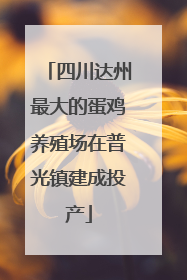 四川达州最大的蛋鸡养殖场在普光镇建成投产