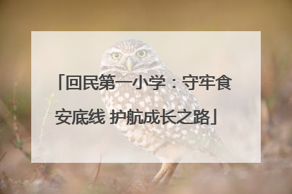 回民第一小学：守牢食安底线 护航成长之路