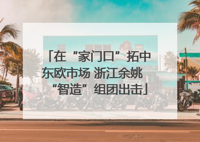 在“家门口”拓中东欧市场 浙江余姚“智造”组团出击