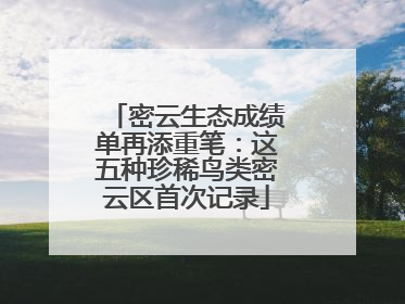 密云生态成绩单再添重笔：这五种珍稀鸟类密云区首次记录