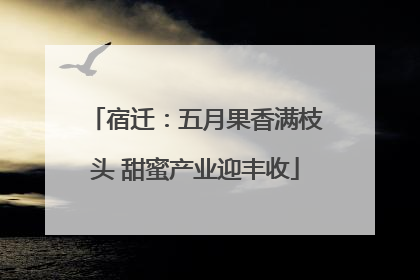 宿迁：五月果香满枝头 甜蜜产业迎丰收