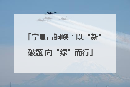 宁夏青铜峡：以“新”破题 向“绿”而行