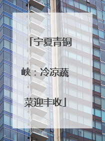 宁夏青铜峡：冷凉蔬菜迎丰收