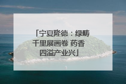 宁夏隆德：绿畴千里展画卷 药香四溢产业兴