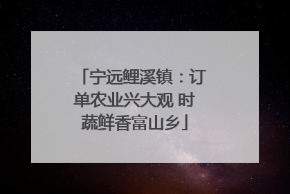 宁远鲤溪镇：订单农业兴大观 时蔬鲜香富山乡