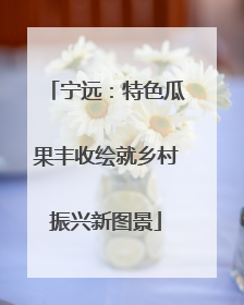 宁远：特色瓜果丰收绘就乡村振兴新图景
