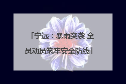 宁远：暴雨突袭 全员动员筑牢安全防线