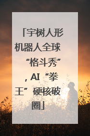 宇树人形机器人全球“格斗秀”，AI“拳王”硬核破圈