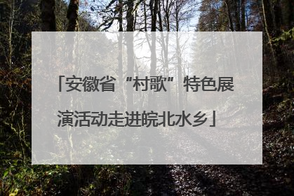 安徽省“村歌”特色展演活动走进皖北水乡