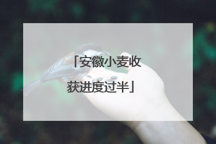 安徽小麦收获进度过半