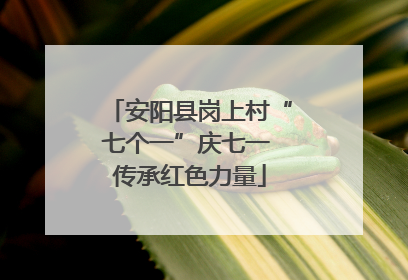 安阳县岗上村“七个一”庆七一 传承红色力量