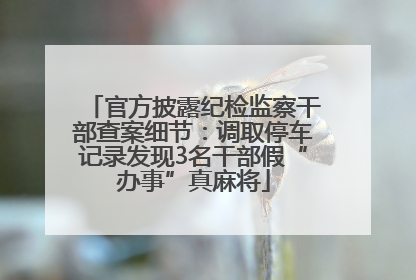 官方披露纪检监察干部查案细节：调取停车记录发现3名干部假“办事”真麻将