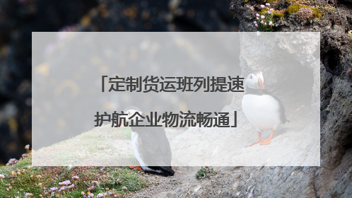 定制货运班列提速 护航企业物流畅通