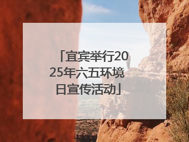 宜宾举行2025年六五环境日宣传活动