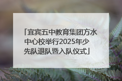 宜宾五中教育集团方水中心校举行2025年少先队退队暨入队仪式
