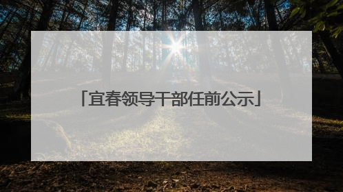 宜春领导干部任前公示