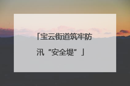 宝云街道筑牢防汛“安全堤”