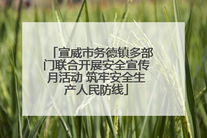 宣威市务德镇多部门联合开展安全宣传月活动 筑牢安全生产人民防线