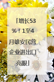 增长53%！1至4月雄安民营企业进出口亮眼