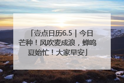 壹点日历6.5｜今日芒种！风吹麦成浪，蝉鸣夏始忙！大家早安
