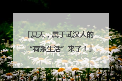 夏天，属于武汉人的“荷系生活”来了！