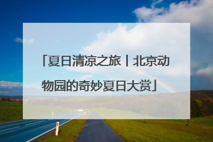 夏日清凉之旅丨北京动物园的奇妙夏日大赏