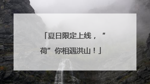 夏日限定上线，“荷”你相遇洪山！