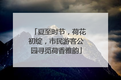 夏至时节，荷花初绽，市民游客公园寻觅荷香雅韵