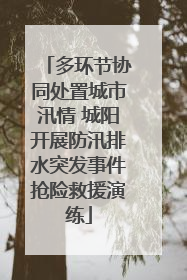 多环节协同处置城市汛情 城阳开展防汛排水突发事件抢险救援演练