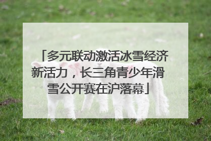 多元联动激活冰雪经济新活力，长三角青少年滑雪公开赛在沪落幕