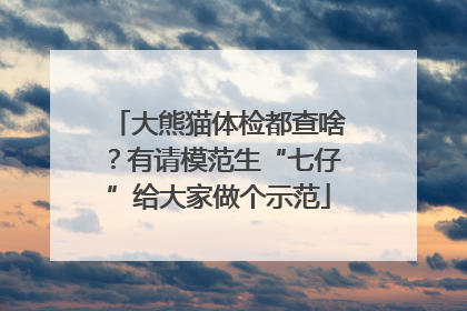 大熊猫体检都查啥？有请模范生“七仔”给大家做个示范